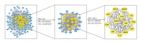 Details are in the caption following the image Details are in the caption following the image