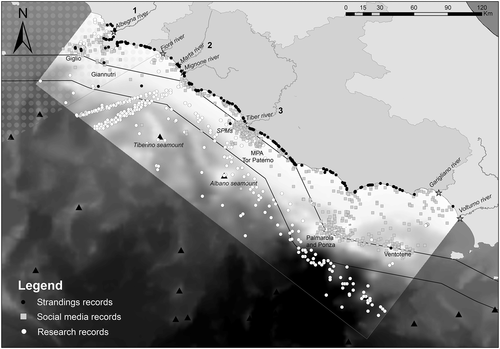 Details are in the caption following the image