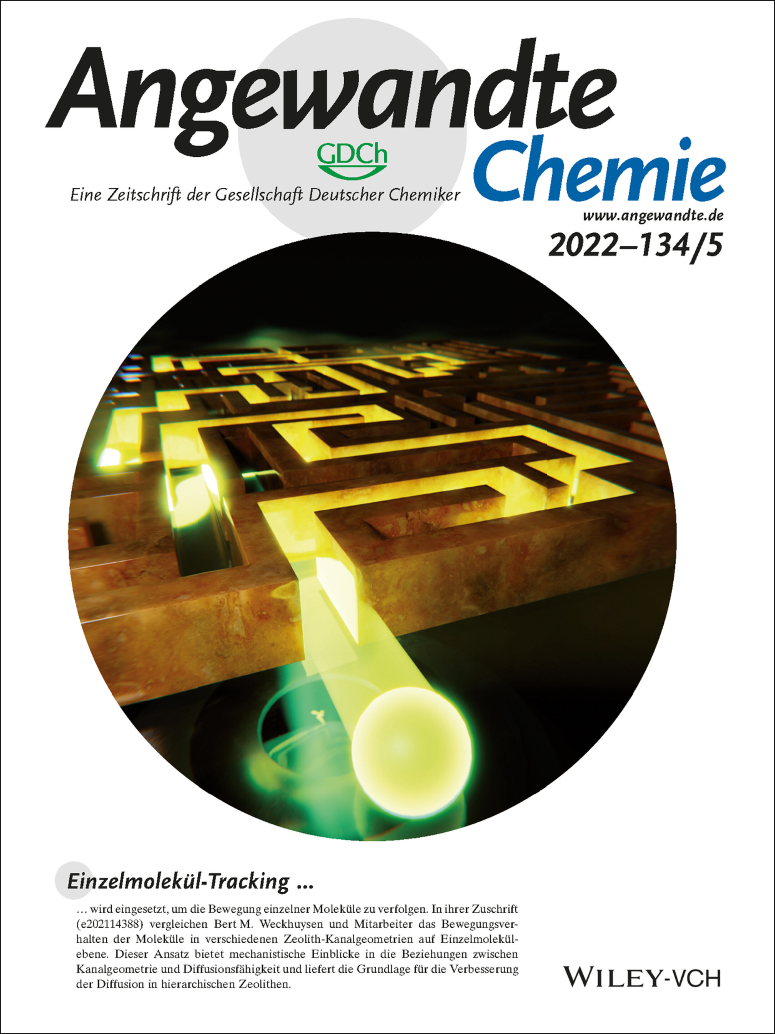 Rücktitelbild: Unravelling Channel Structure–Diffusivity Relationships in Zeolite ZSM-5 at the Single-Molecule Level (Angew. Chem. 5/2022) Volume 134 Issue 5, 2022