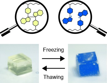Mechanophores with a Reversible Radical System and Freezing-Induced Mechanochemistry in Polymer Solutions and Gels
