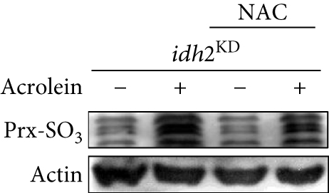 Details are in the caption following the image