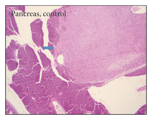 Details are in the caption following the image