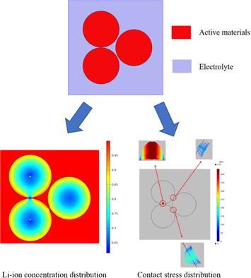 Modeling Contact Behavior of Multiparticles and Particle–Current Collector Contact in Porous Electrode