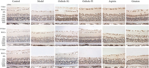 Details are in the caption following the image Details are in the caption following the image