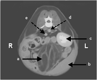 Details are in the caption following the image Details are in the caption following the image