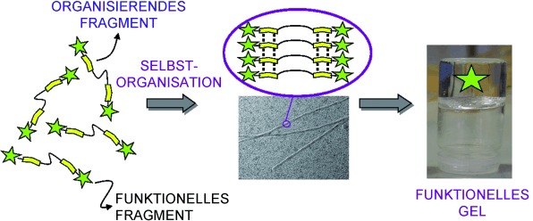 “High-Tech”-Anwendungen von supramolekularen nanostrukturierten Gelmaterialien – von der regenerativen Medizin bis hin zu elektronischen Bauelementen