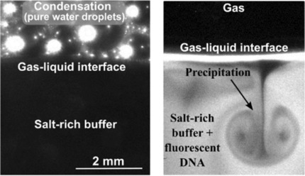 Periodic Melting of Oligonucleotides by Oscillating Salt Concentrations Triggered by Microscale Water Cycles Inside Heated Rock Pores