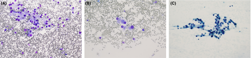 Details are in the caption following the image Details are in the caption following the image