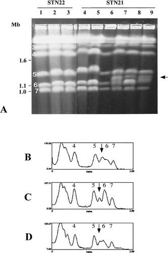 Details are in the caption following the image Details are in the caption following the image