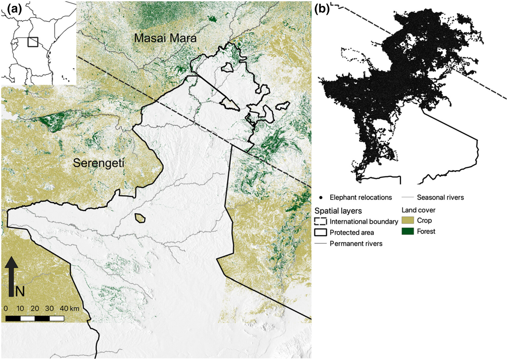 Crop use structures resource selection strategies for African elephants in a human-dominated landscape
