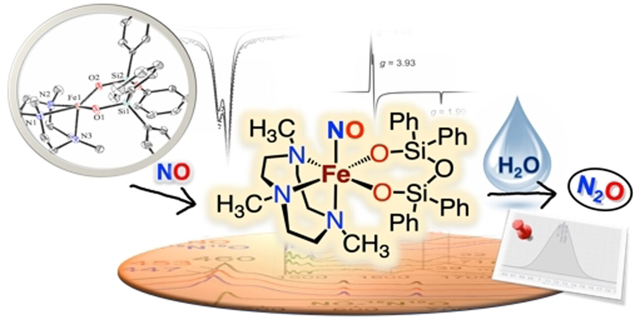 A Nonheme Mononuclear {FeNO}7 Complex that Produces N2O in the Absence of an Exogenous Reductant