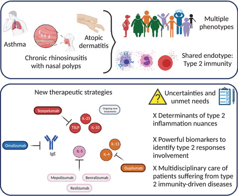 Type 2 immunity-driven diseases: Towards a multidisciplinary approach