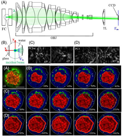 Machine learning of diffraction image patterns for accurate classification of cells modeled with different nuclear sizes