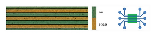 Details are in the caption following the image