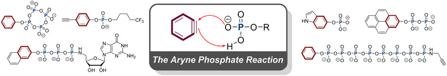 The Aryne Phosphate Reaction**