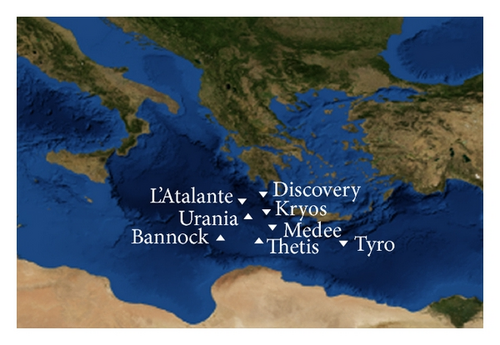 Details are in the caption following the image