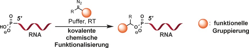 Covalent Chemical 5′-Functionalization of RNA with Diazo Reagents