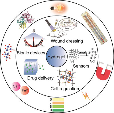 Stimuli-responsive hydrogels: Fabrication and biomedical applications Issue 2, 2022