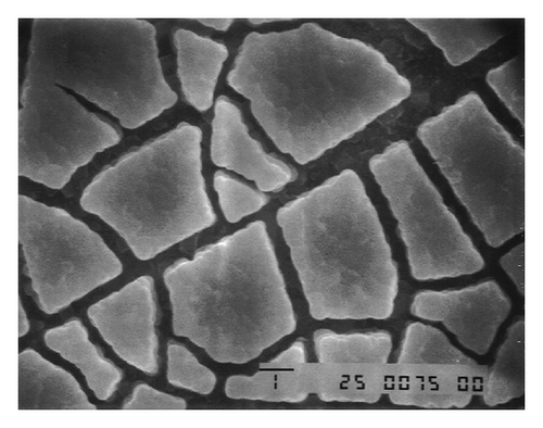 Details are in the caption following the image