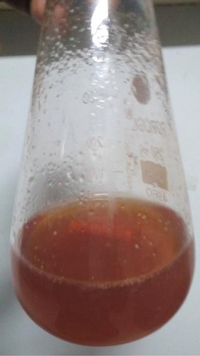Details are in the caption following the image