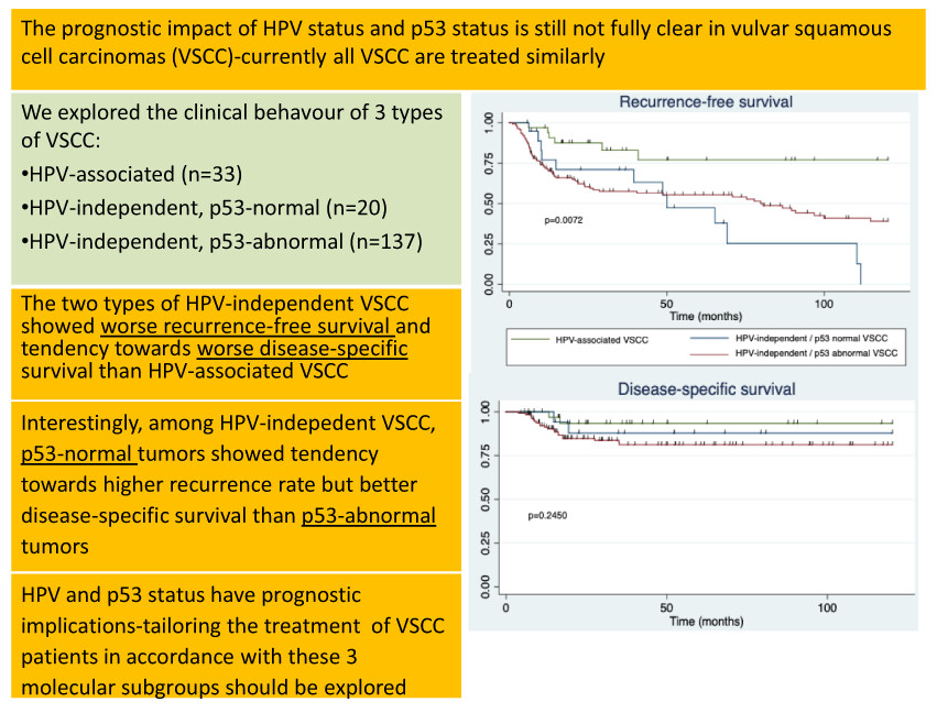 Human papillomavirus and p53 status define three types of vulvar squamous cell carcinomas with distinct clinical, pathological, and prognostic features