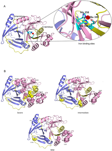 Details are in the caption following the image