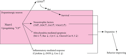 Details are in the caption following the image Details are in the caption following the image