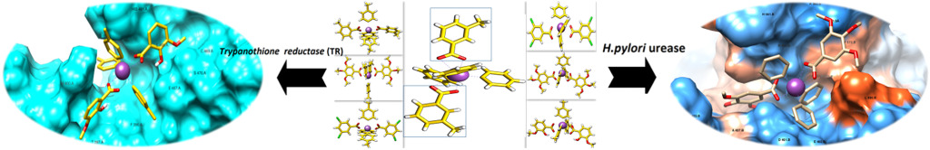 Bioactive Heteroleptic Bismuth(V) Complexes: Synthesis, Structural Analysis and Binding Pattern Validation