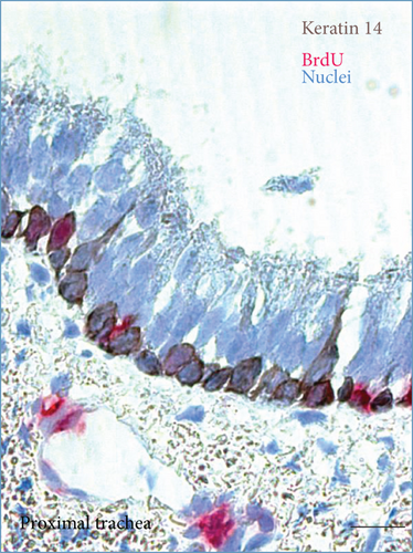 Details are in the caption following the image