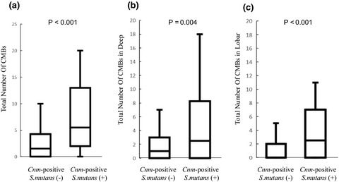 cnm-Positive Streptococcus mutans and diffusion-weighted imaging hyperintensities in acute intracerebral hemorrhage