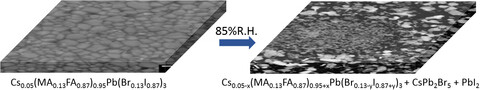 Moisture-Induced Non-Equilibrium Phase Segregation in Triple Cation Mixed Halide Perovskite Monitored by In Situ Characterization Techniques and Solid-State NMR