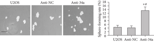 Details are in the caption following the image