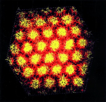 Moleküldynamik-Computersimulation des Phasenverhaltens nichtionischer Tenside