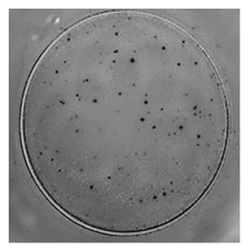 Details are in the caption following the image