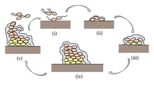 Details are in the caption following the image
