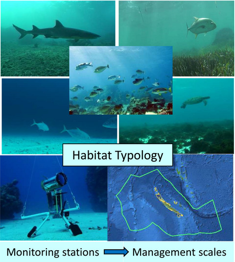 A regionally scalable habitat typology for assessing benthic habitats and fish communities: Application to New Caledonia reefs and lagoons