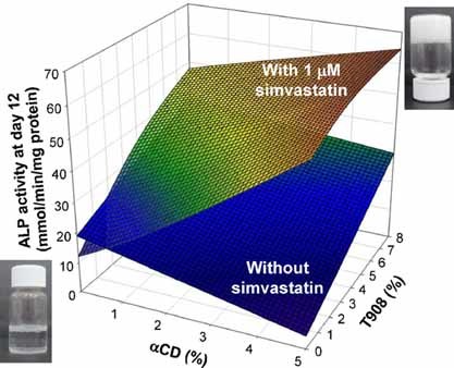Poloxamine–Cyclodextrin–Simvastatin Supramolecular Systems Promote Osteoblast Differentiation of Mesenchymal Stem Cells