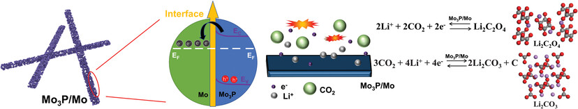 Porous Mo3P/Mo Nanorods as Efficient Mott-Schottky Cathode Catalysts for Low Polarization Li-CO2 Battery