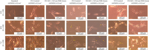 Details are in the caption following the image Details are in the caption following the image