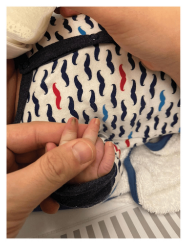Details are in the caption following the image Details are in the caption following the image