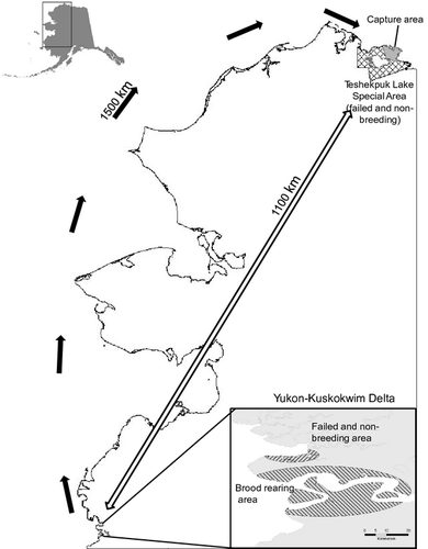 Details are in the caption following the image Details are in the caption following the image