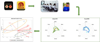 Characterizing the Antioxidant Activity, Fatty Acids, and Sensory Profile of Eight Extra Virgin Olive Oils With Protected Designation of Origin (PDO) From Lazio (Italy): A Pilot Study