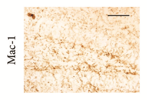 Details are in the caption following the image