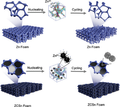 Stress Release of Zincophilic N-Doped Carbon@Sn Composite on High-Curvature Surface of Zinc Foam for Dendrite-Free 3D Zinc Anode
