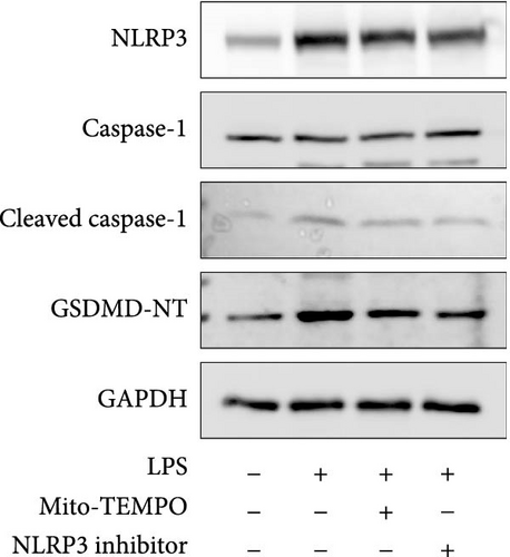 Details are in the caption following the image