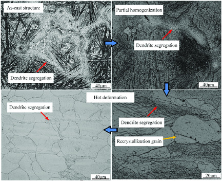 Microstructural Evolution during Homogenization and Hot Deformation for As-Cast H13 Steel