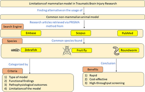 The utilization of small non-mammals in traumatic brain injury research: A systematic review