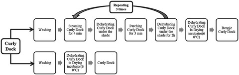 Anti-inflammatory effects of Beopje curly dock (Rumex crispus L.) in LPS-induced RAW 264.7 cells and its active compounds