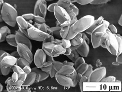 Kinetic Study on Polyethylenimine-Assisted Reactive Crystallization of Monodisperse Strontium Sulfate Microcrystals