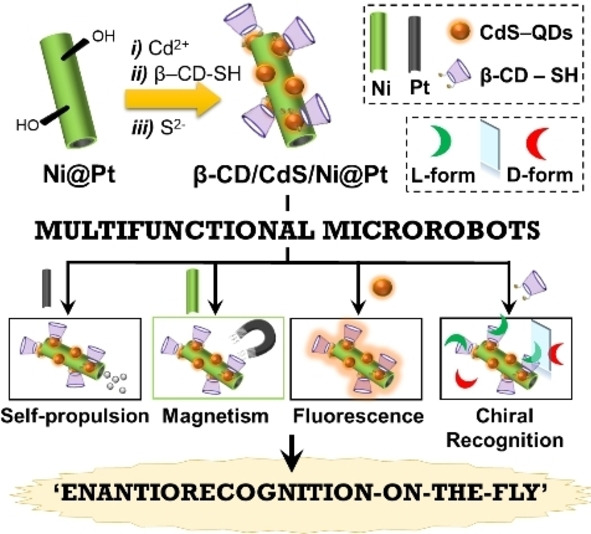 Self-Propelled Multifunctional Microrobots Harboring Chiral Supramolecular Selectors for “Enantiorecogniton-on-the-Fly”